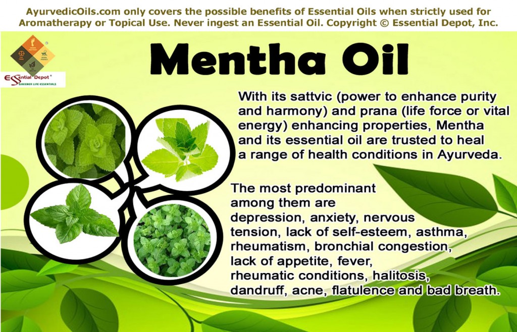 Mentha-oil-broucher