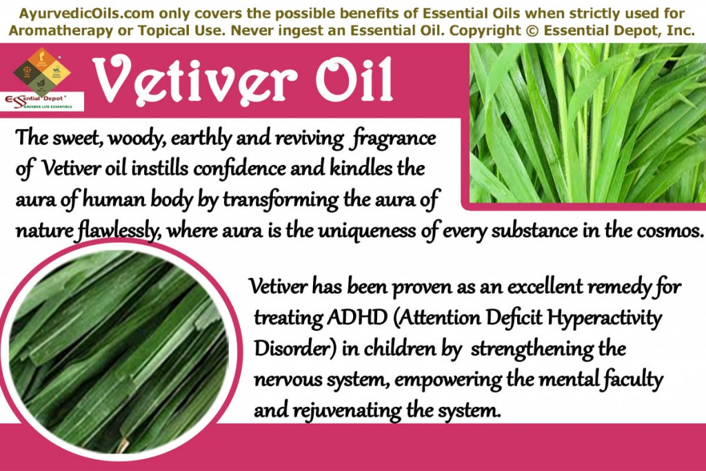 Vetiver-oil-banner