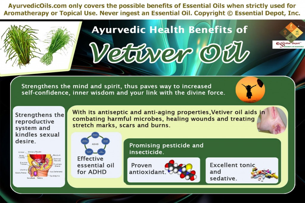 Vetiver-oil-broucher