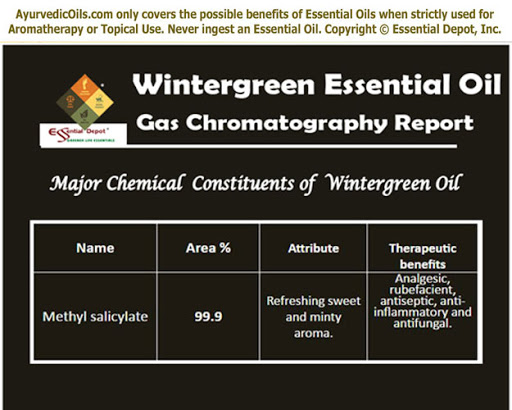 Adverse Effects Of Wintergreen Oil Essential Oil