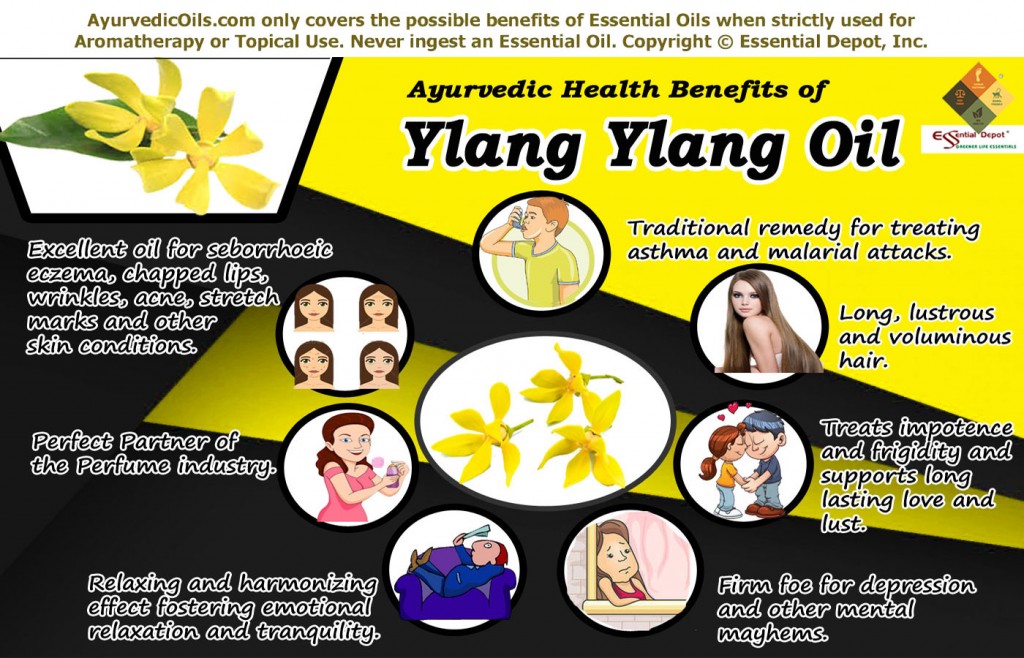 Ylang-ylang-broucher (2)