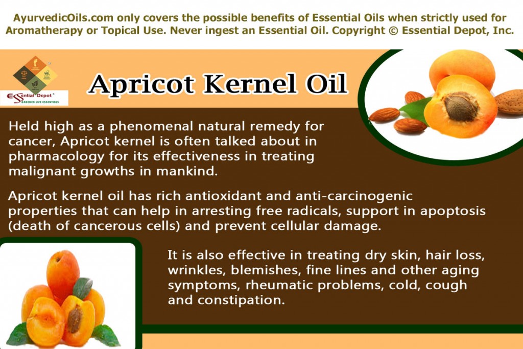 apricot-kernel-banner