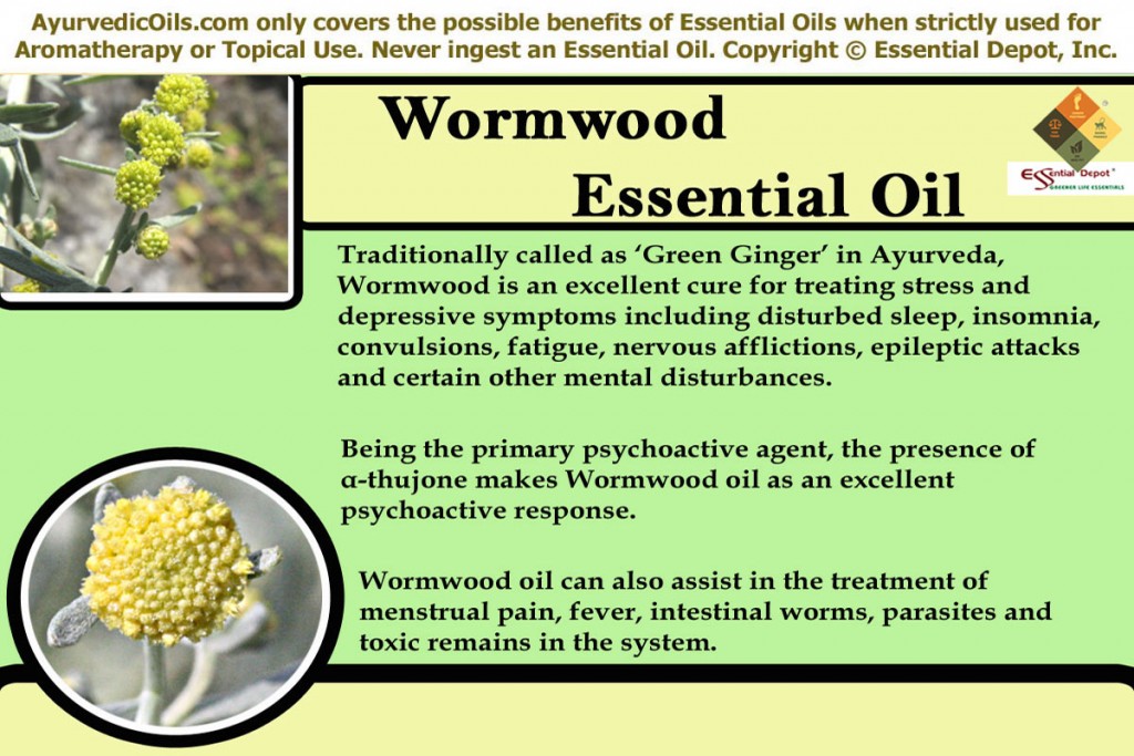 wormwood-banner