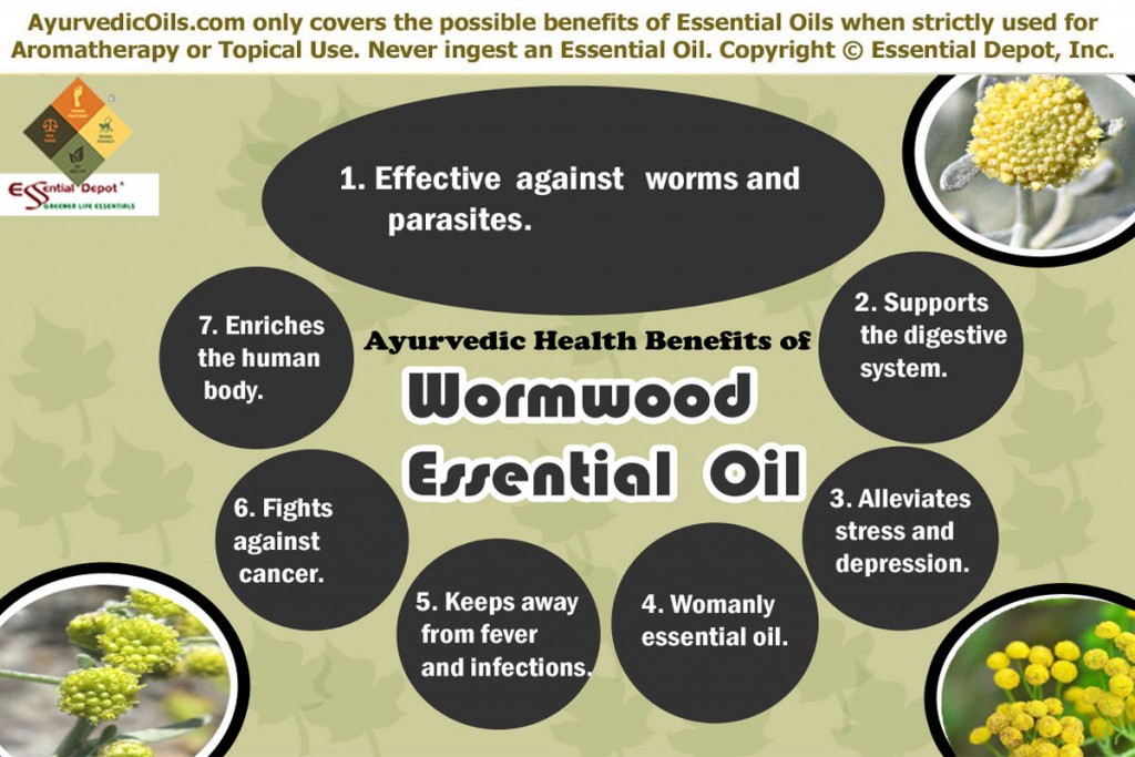 health benefits of wormwood oil | Essential Oil