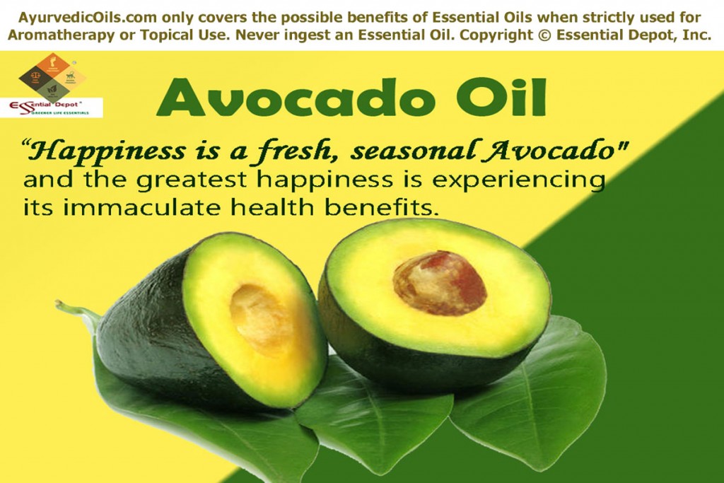 Avocado-banner