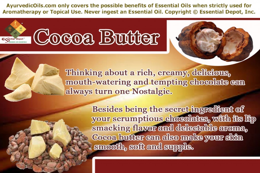 Cocobutter-banner