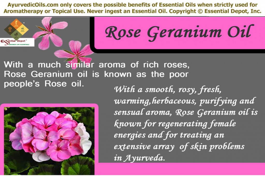 Rose Geranium banner