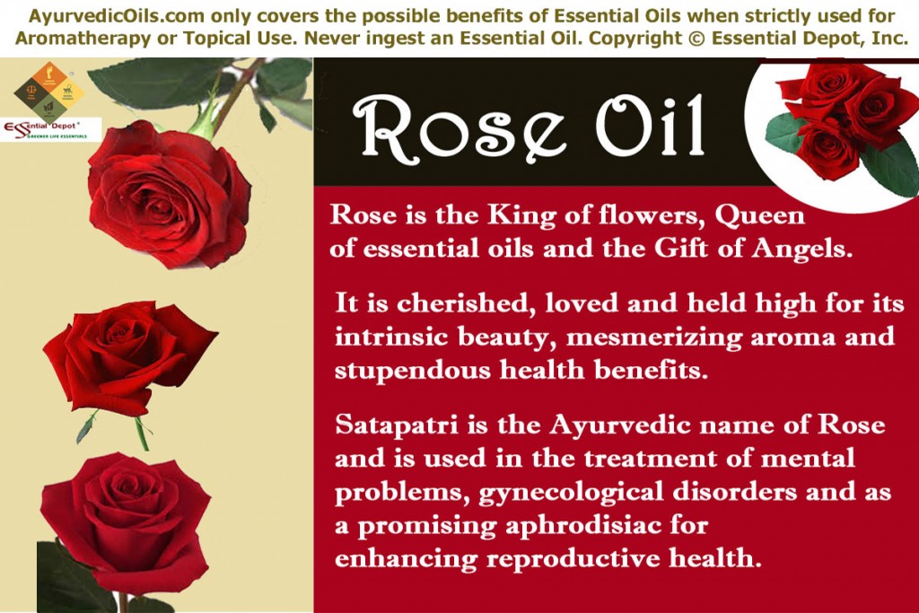 Rose-oil-banner