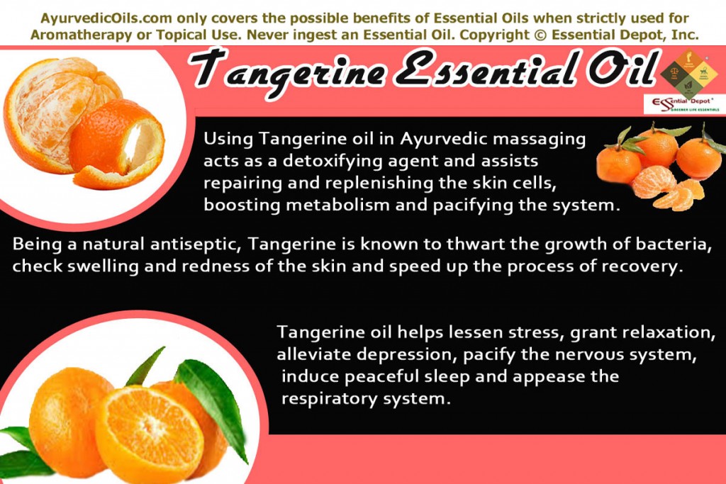 tangerine-banner