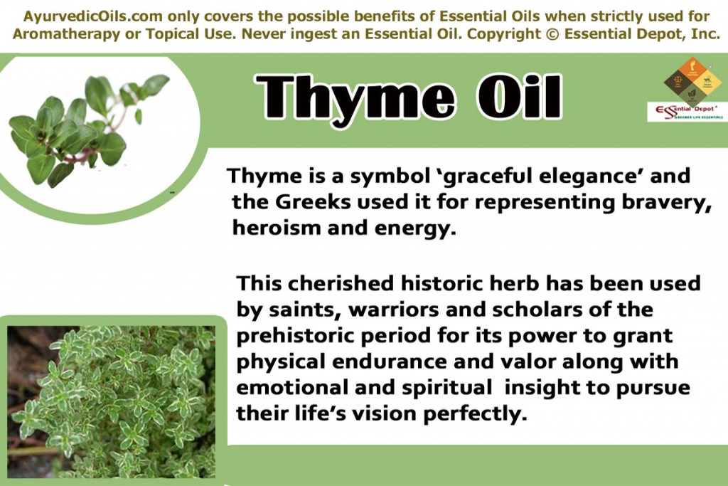 Thyme-oil-banner