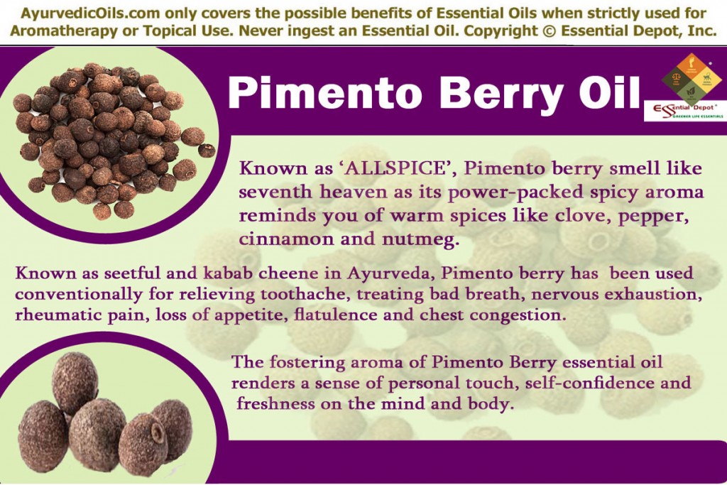 pimento-berry-banner