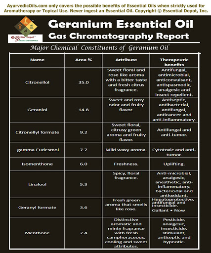 Chemical Constituents Of Geranium Oil Essential Oil